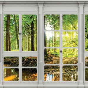 Consalnet Vliestapete Sonnenwald Fensterblick, verschiedene Motivgrößen, für das Büro oder Wohnzimmer