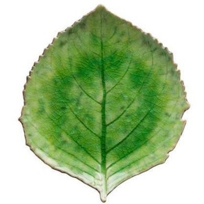 Costa Nova Plate hydrangea Riviera 22 x 19 cm GreenBlack Ceramic