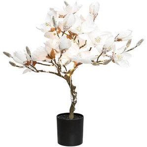 Creativ deco LED Baum Magnolie, LED fest integriert, Warmweiß, beschneit, Höhe ca. 58 cm, mit 20 LEDs