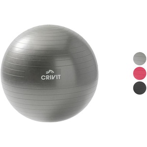 CRIVIT Soft-Gymnastikball, inkl. Übungs- und Trainingshinweisen