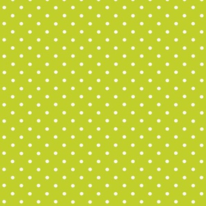 d-c-fix Selbstklebefolie Petersen grün 45 cm x 2 m GLO769651928