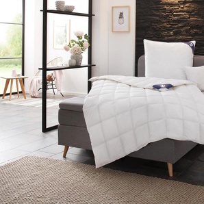 Daunenbettdecke + 3-Kammer-Kopfkissen, Exklusiv, SPESSARTTRAUM, Füllung: Bettdecke: 100% Daunen, Bezug: 100% Baumwolle, Spar-Set in verschiedenen Wärmeklasssen, Bestseller