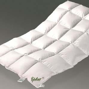 Daunenbettdecke FJÖDUR Fabiennes Royal Bettdecken Gr. B/L: 155 cm x 220 cm, warm, weiß Allergiker Bettdecke In verschiedenen Größen erhältlich.