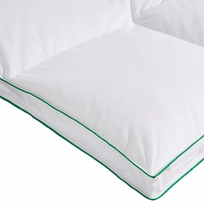 Daunenbettdecke FJÖDUR Fee Bettdecken Gr. B/L: 135 cm x 200 cm, e x trawarm, weiß Allergiker Bettdecke
