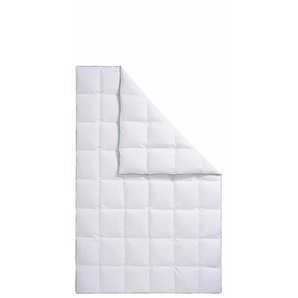 Daunenbettdecke FJÖDUR Fee Bettdecken Gr. B/L: 135 cm x 200 cm, normal, weiß Allergiker Bettdecke