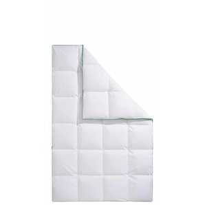 Daunenbettdecke FJÖDUR Fee Bettdecken Gr. B/L: 155 cm x 220 cm, warm, weiß Allergiker Bettdecke
