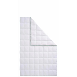 Daunenbettdecke FJÖDUR Fee Bettdecken Gr. B/L: 200 cm x 220 cm, leicht, weiß Allergiker Bettdecke