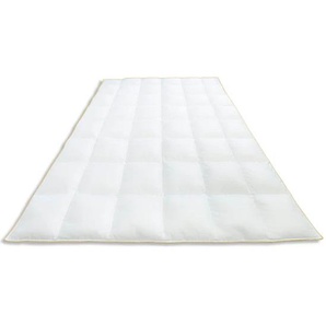 Daunenbettdecke FRAU HOLLE Ava, Bettdecken für Sommer oder Winter, hergestellt in Deutschland Gr. B/L: 200 cm x 200 cm, normal, weiß Allergiker Bettdecke