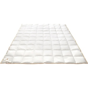 Daunenbettdecke FRAU HOLLE Ava Bettdecken Gr. B/L: 200 cm x 200 cm, leicht, weiß Allergiker Bettdecke