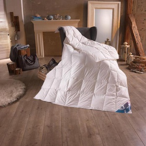 Daunenbettdecke HAEUSSLING Hjemme Hygge Bettdecken Gr. B/L: 155 cm x 220 cm, leicht, weiß Sommerbettdecke
