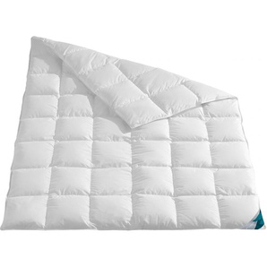 Daunenbettdecke HAEUSSLING Kuscheltraum Bettdecken Gr. B/L: 135 cm x 200 cm, normal, weiß Allergiker Bettdecke
