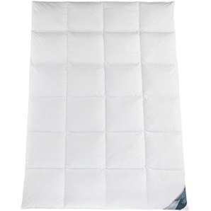 Daunenbettdecke HAEUSSLING Kuscheltraum Bettdecken Gr. B/L: 135 cm x 200 cm, warm, weiß Allergiker Bettdecke
