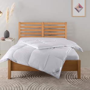 Daunenbettdecke HOME AFFAIRE MOULLE für jede Jahreszeit Sommer bis Winter die richtige Bettdecke Bettdecken Gr. B/L: 155 cm x 220 cm, extrawarm, weiß Allergiker Bettdecke in 135x200 cm & weitere Größen erhältlich