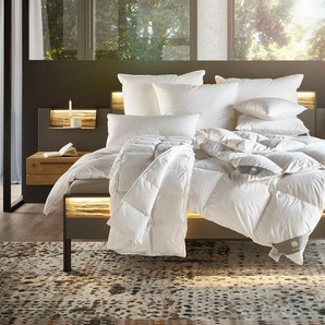 Daunenbettdecke MUSTERRING Dreamz Bettdecken Gr. B/L: 135 cm x 200 cm, normal, weiß Allergiker Bettdecke