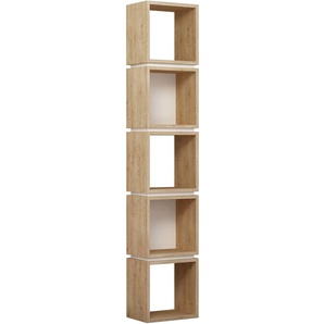 Decortie Bücherregal »Multi Bücherregal«, (Packung), Leichte Montage, Lagerung, Platzsparend