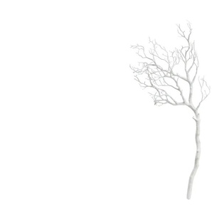 Deko Ast - weiß - Kunststoff - 48 cm - 23 cm | Möbel Kraft