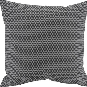 Dekokissen H.O.C.K. Miss Dots Kissen Dekokissen_Sitzkissen_Kissenhüllen Gr. B/L: 50 cm x 50 cm, 1 St., Baumwolle-Polyester, schwarz (schwarz, gepunktet) Deko-Kissen Dekokissen gemustert Kopfkissen mit Punkten, Kissenhülle Füllung, 1 Stück