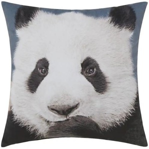 Dekokissen  Panda ¦ weiß ¦ Maße (cm): B: 45 T: 15.0