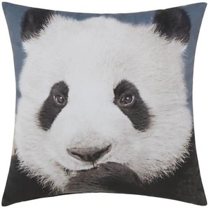 Dekokissen Panda - weiß - Materialmix - 45 cm - cm 15,0 | Möbel Kraft