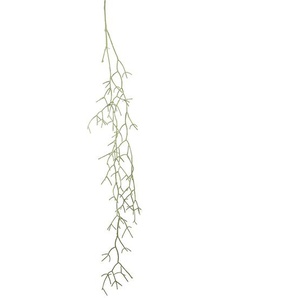 Dekopflanze Rhipsalis hängend Grün H134 cm