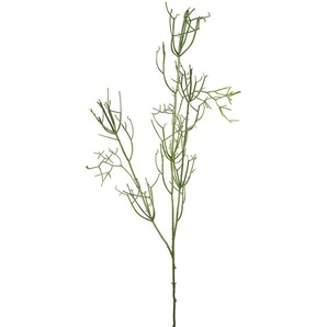 Dekopflanze Rhipsalis Zweig Grün H125cm