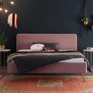 Designbett in Rosa Samt 4-Fuß Metallgestell in Kupferfarben