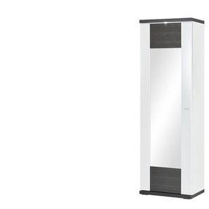 Dielenschrank - grau - Materialmix - 65 cm - 207 cm - cm 42,0 | Möbel Kraft