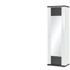Dielenschrank  Titan ¦ grau ¦ Maße (cm): B: 65 H: 207 T: 42.0