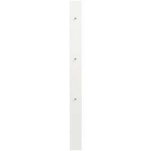Dieter Knoll Garderobenpaneel, Silber, Weiß, 14x170x5 cm, Goldenes M, Handmade in Germany, DGM-Klimapakt, Aufhängemöglichkeit, Garderobe, Garderobenpaneele, Garderobenpaneele