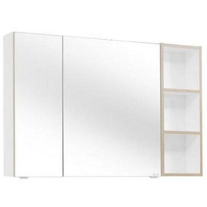Dieter Knoll Spiegelschrank, Glas, 4 Fächer, 105x70.3x17.3 cm, Badezimmer, Badezimmerspiegel, Spiegelschränke