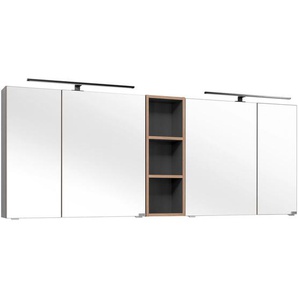 Dieter Knoll Spiegelschrank Treviso, Grau, Holzwerkstoff, 8 Fächer, 185x70.3x17.3 cm, Made in Germany, Soft-Close-System, Badezimmer,