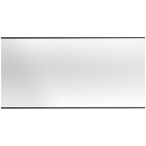Dieter Knoll Wandspiegel Dieter Knoll , Grau , Glas , Buche , massiv , rechteckig , 123x62x2 cm , Made in Germany , Garderobe, Garderobenspiegel, Garderobenspiegel