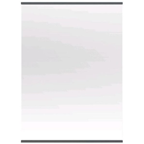Dieter Knoll Wandspiegel, Grau, Glas, Buche, massiv, rechteckig, 58x80x2 cm, Made in Germany, Garderobe, Garderobenspiegel, Garderobenspiegel