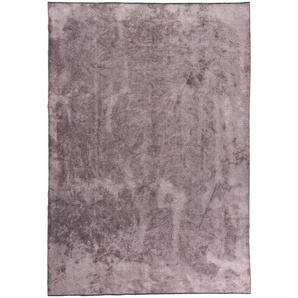 Novel Webteppich, Violett, Textil, rechteckig, 200x290 cm, für Fußbodenheizung geeignet, antistatisch, Teppiche & Böden, Teppiche, Moderne Teppiche