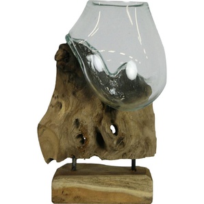 Dijk Natural Dijk Glas auf Wurzel 18 x 18 x 28 cm GLO660652867