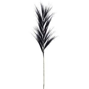 Dijk Natural Dijk Grasfahne 118 cm GLO660353465