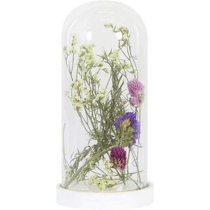 Dijk Natural Dijk Kuppel mit Blumen 10 x 10 x 22.5 cm GLO660353276