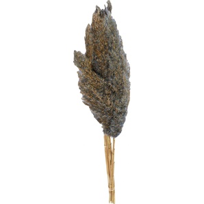Dijk Natural Dijk Schilffahne lang Kyan grau 110 cm GLO660406269