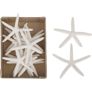 Dijk Natural Dijk Seestern Finger weiß 10-12 cm GLO660406287