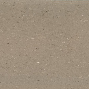 Gerflor DLW COLORETTE NEOCARE™ - 0043 Light Mud Linoleum Bahnware 2,5 mm