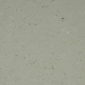 Gerflor DLW COLORETTE NEOCARE™ - 0058 Aluminium Grey Linoleum Bahnware 2,5 mm