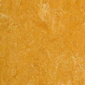 Dlw Flooring Marmorette AcousticPlus LPX 2121-073 spicy orange Linoleum Bahnenware