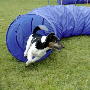 Dobar Agility-Tunnel Ø 50 x 300 cm GLO689311009