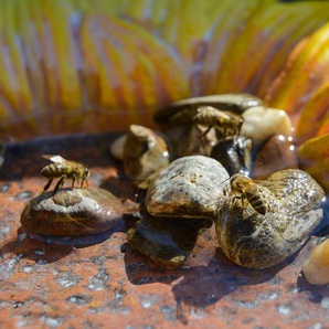 Dobar Bunte Insektentränke »Fiore« - orange - Keramik -
