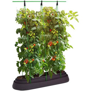 Dobar-Tomaten- und Paprikabeet »Sicilia« - schwarz -