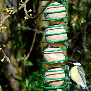 Vogelfutter-Abdeckung, Schutzblech für Vogelfutterstation,  Vogel-Regenschutz, schützt Kolibri-Futterspender, Kuppelabdeckung mit  Schirmförmiger