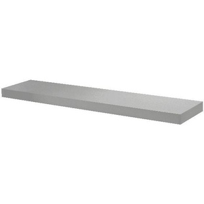 Dolle Wohnregale Dolle Regalboden Big Boy 115 x 25 cm, 50 mm, silber GLO763201440