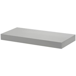 Dolle Wohnregale Dolle Regalboden Big Boy 57 x 25 cm, 50 mm, silber GLO763201781
