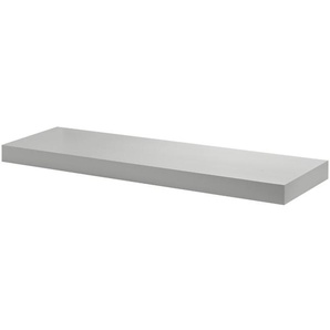Dolle Wohnregale Dolle Regalboden Big Boy 90 x 25 cm, 50 mm, silber GLO763201438