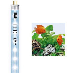 E (A bis G) JUWEL AQUARIEN LED Aquariumleuchte Day 9000K Lampen weiß Aquarium-Beleuchtung Lampen